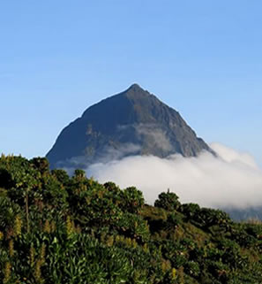 Mount-Karisimbi-Hike - Volcanoes National Park Rwanda