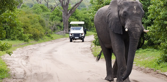 Rwanda Akagera Safaris Rwanda Akagera Safaris