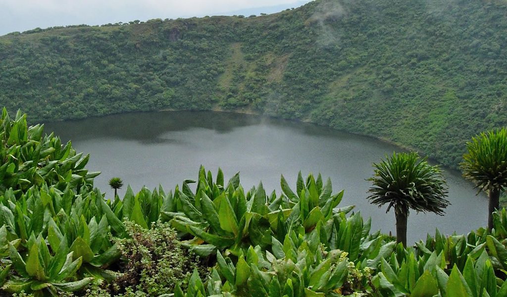Hike the Bisoke Volcano, 4 Day Rwanda Gorillas and Bisoke Hike Tour