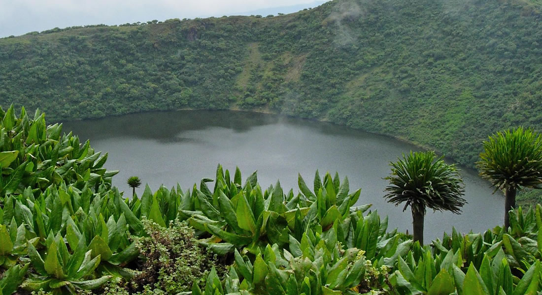 Hike the Bisoke Volcano