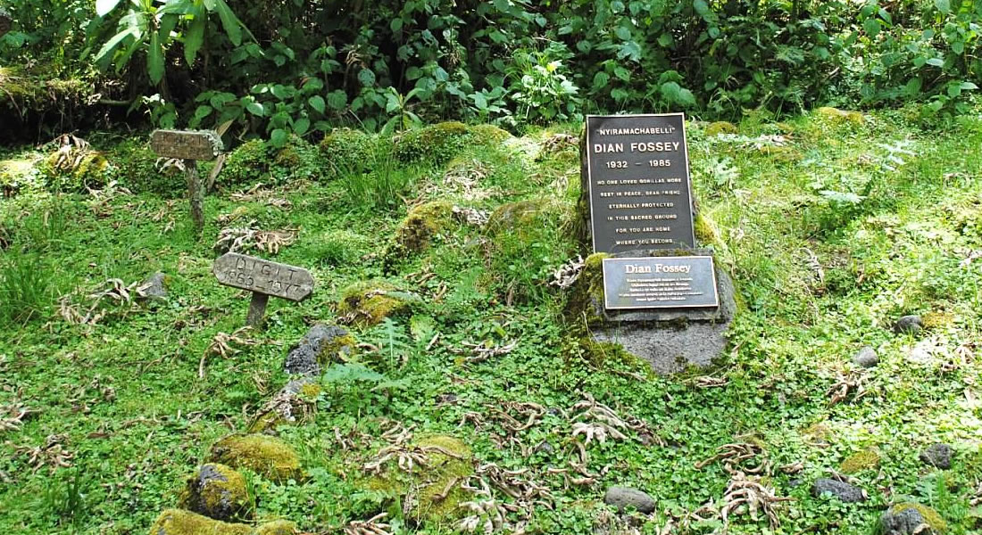 Hiking to Dian Fossey Grave Yard
